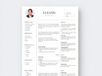 Minimalist CV template for Word with clean layout and professional design